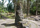 Lava Tree State Park